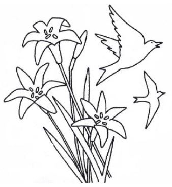 fiori